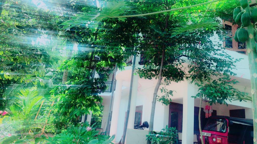 Mount Nature Villa Hikkaduwa Exterior photo